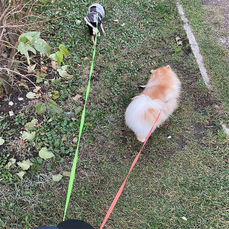 360° Swivel Retractable Leash for Two Dogs